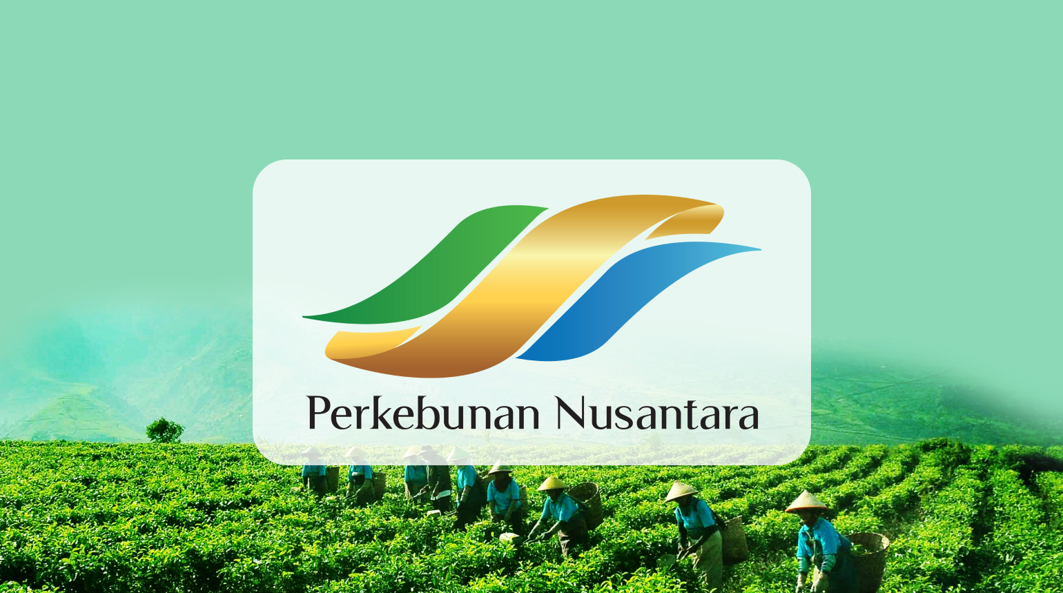 Rahasia Kopi di Teras: Kenikmatan yang Menghampiri Setiap Pagi di Cilacap